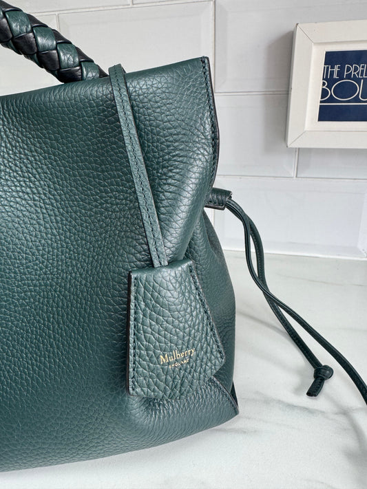 Mulberry Large Iris - Mulberry Green