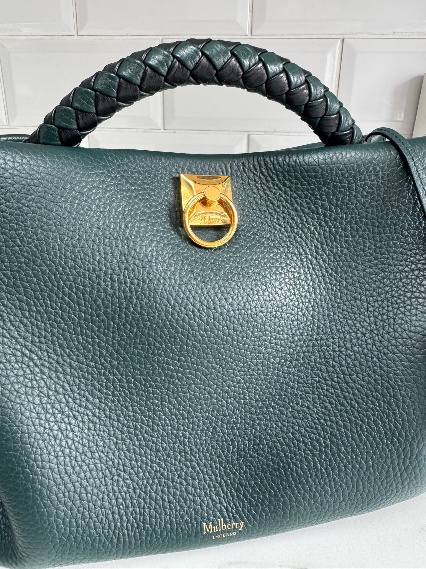 Mulberry Large Iris - Mulberry Green