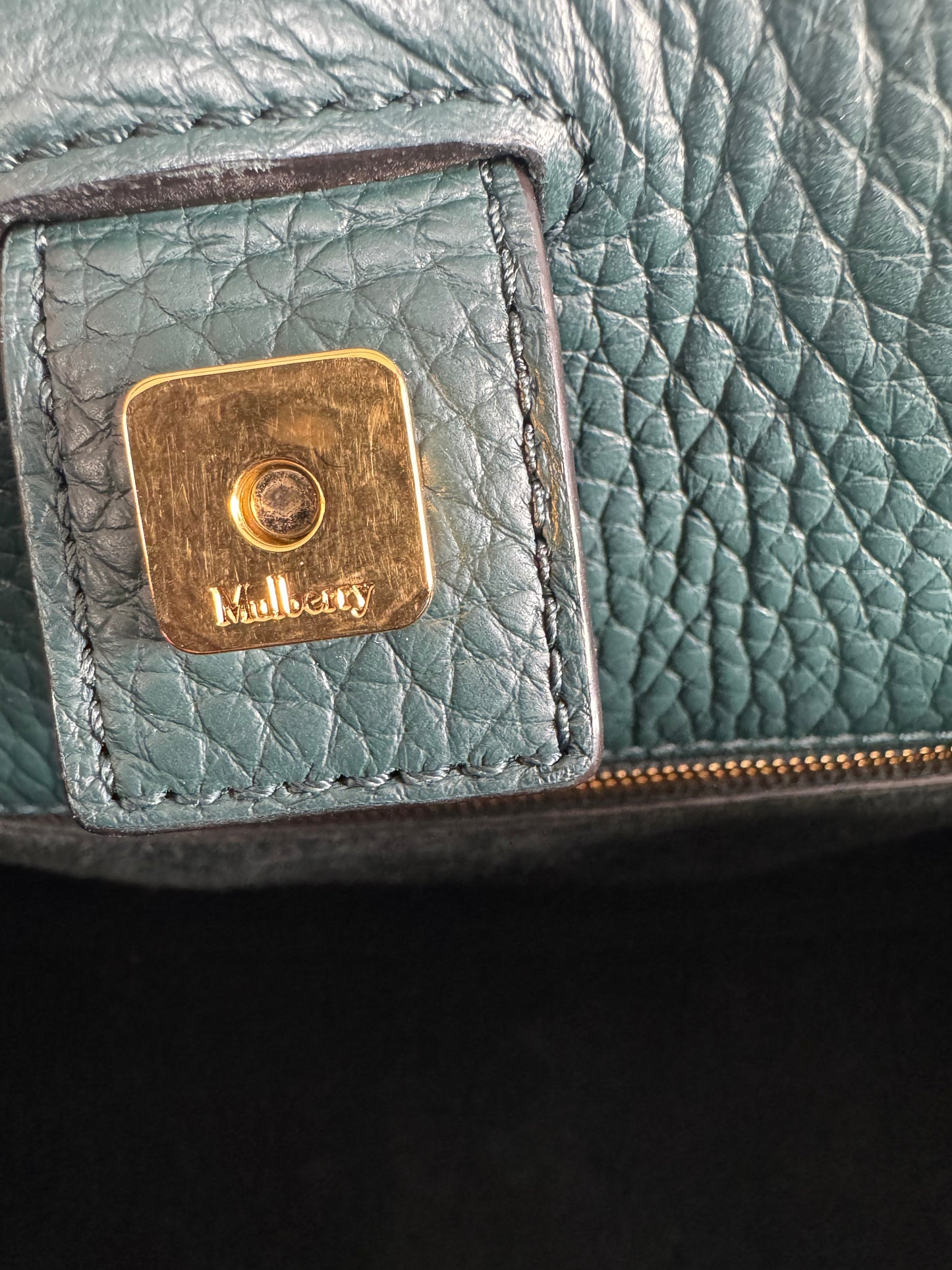 Mulberry Large Iris - Mulberry Green
