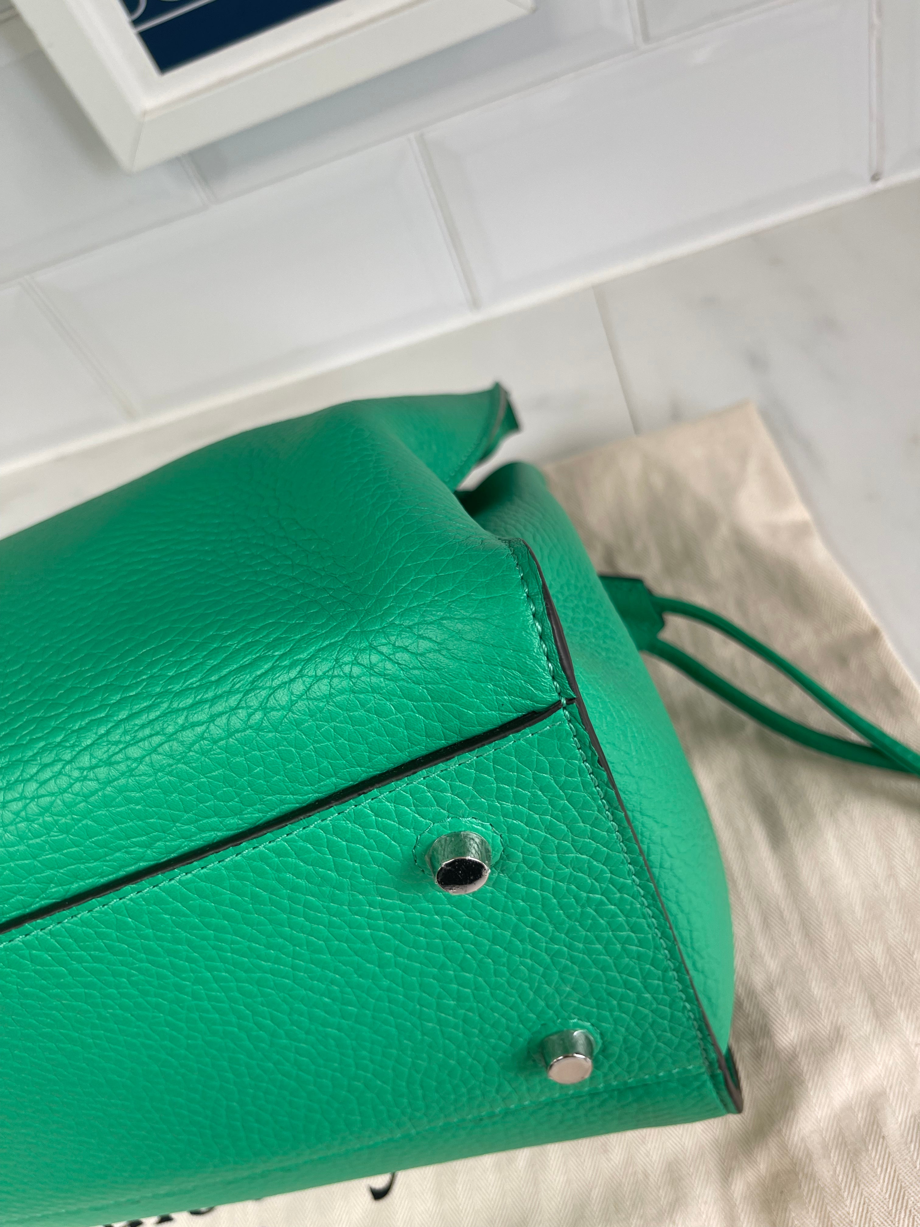 Green best sale mulberry purse