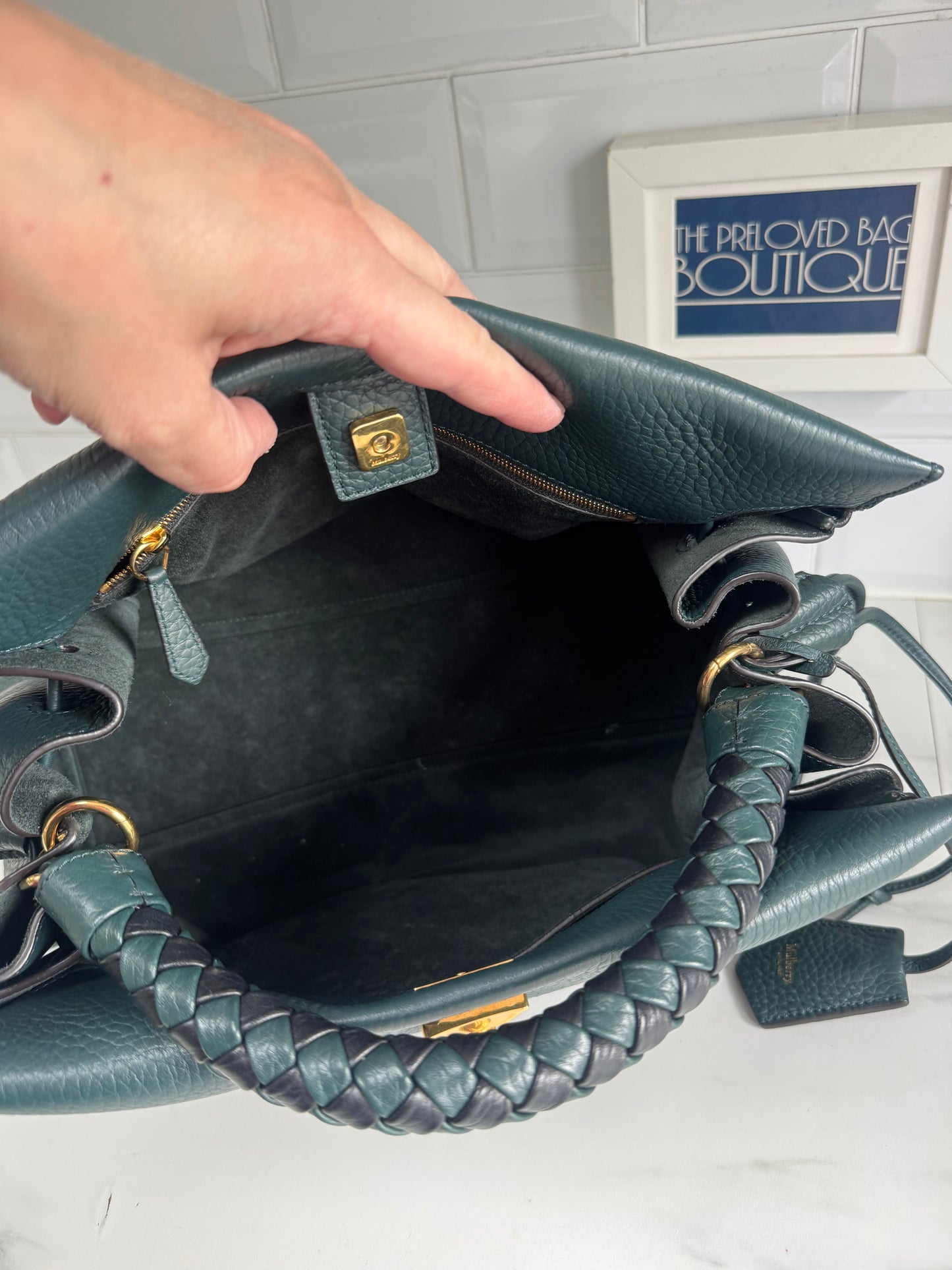 Mulberry Large Iris - Mulberry Green