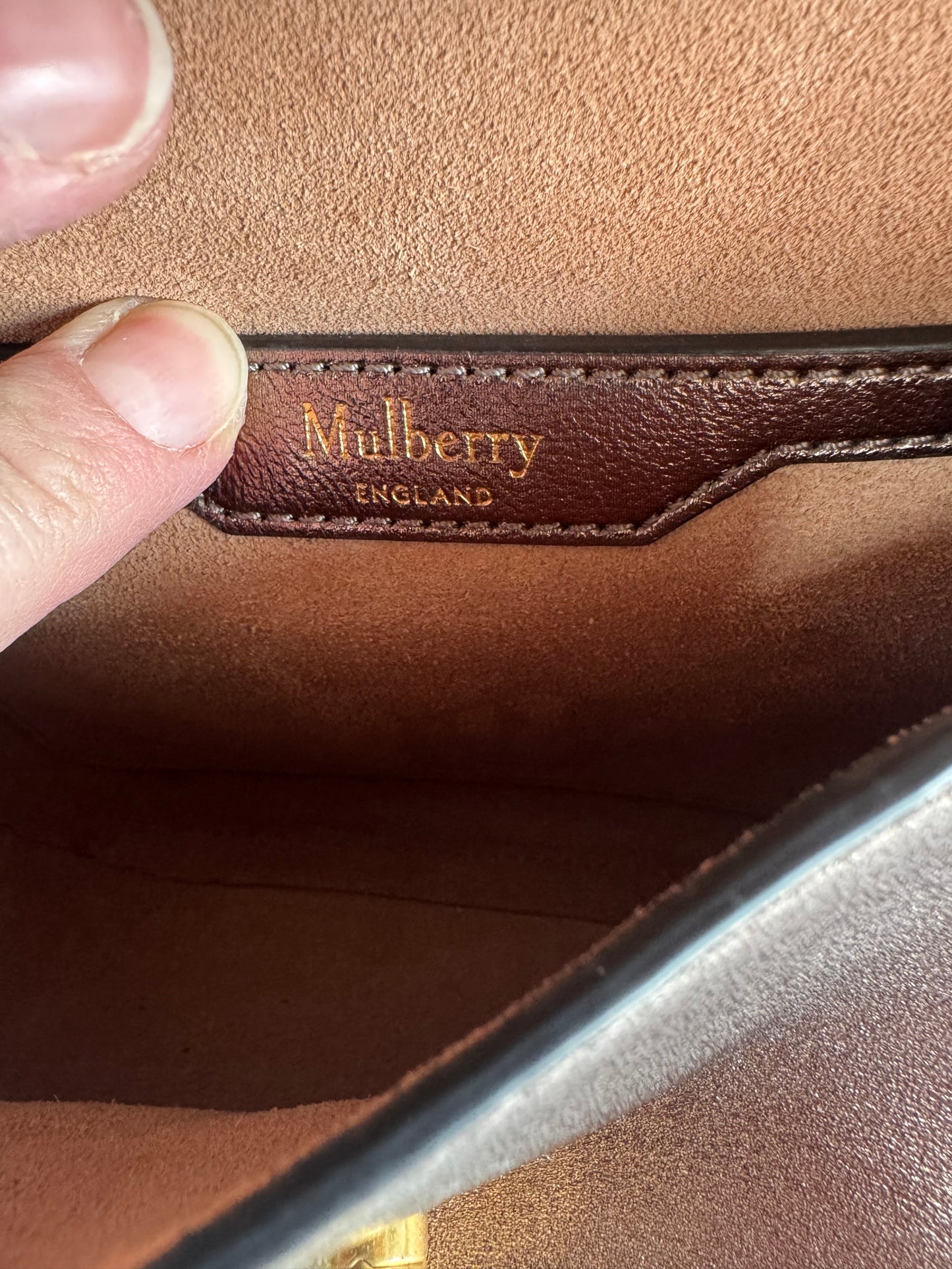 Mulberry Small Metallic Amberley - Gold, Bronze, Silver  (Bag and Coin Purse)