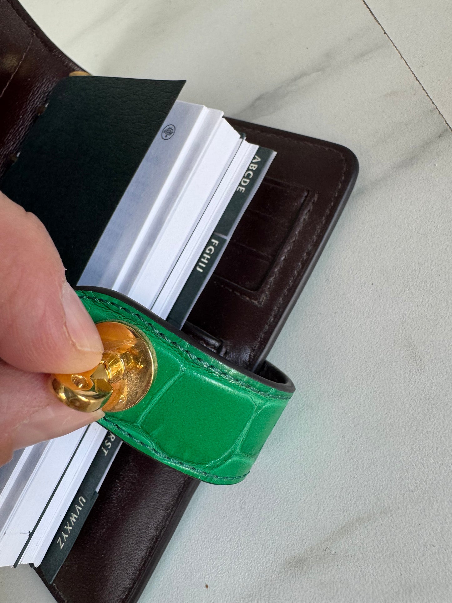 Mulberry Pocket Book - Emerald Croc Embossed