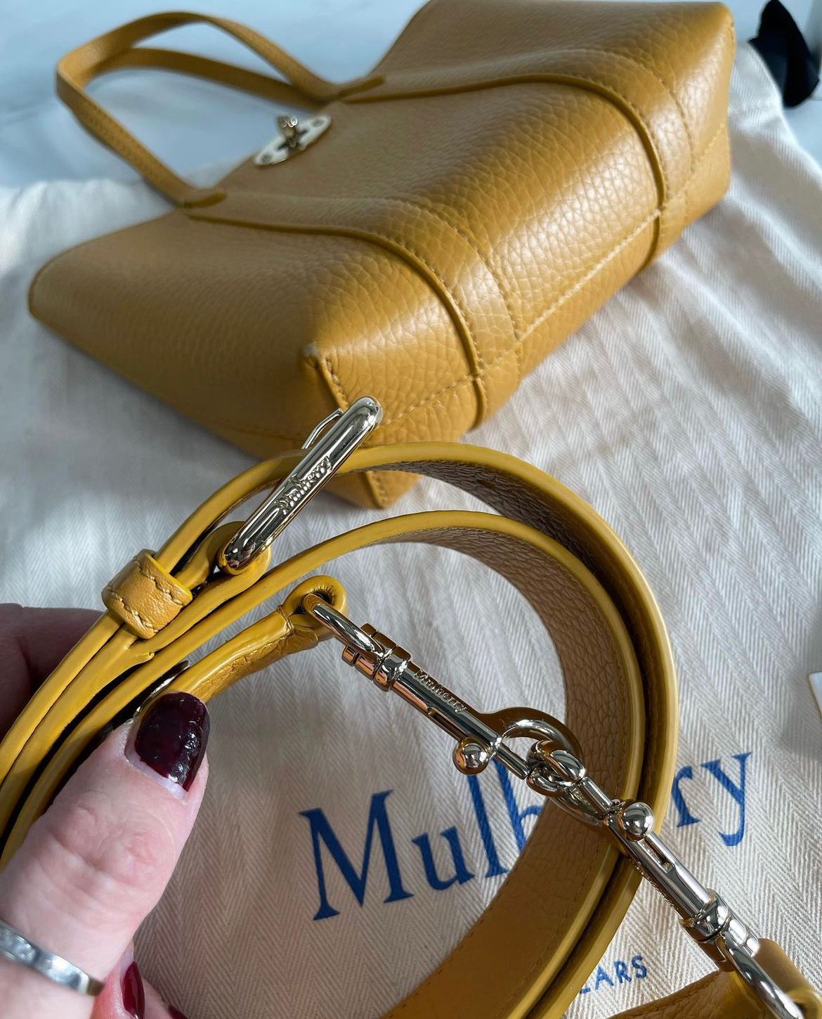 Bayswater hot sale mulberry small