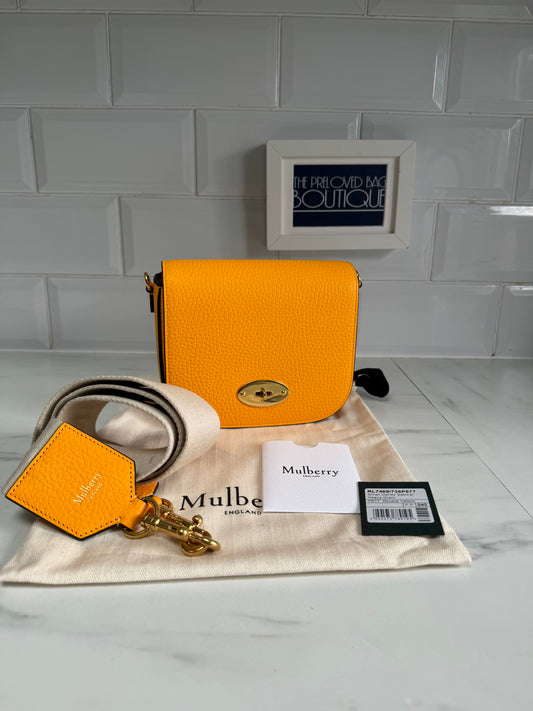 Mulberry Small Darley Satchel - Double Yellow