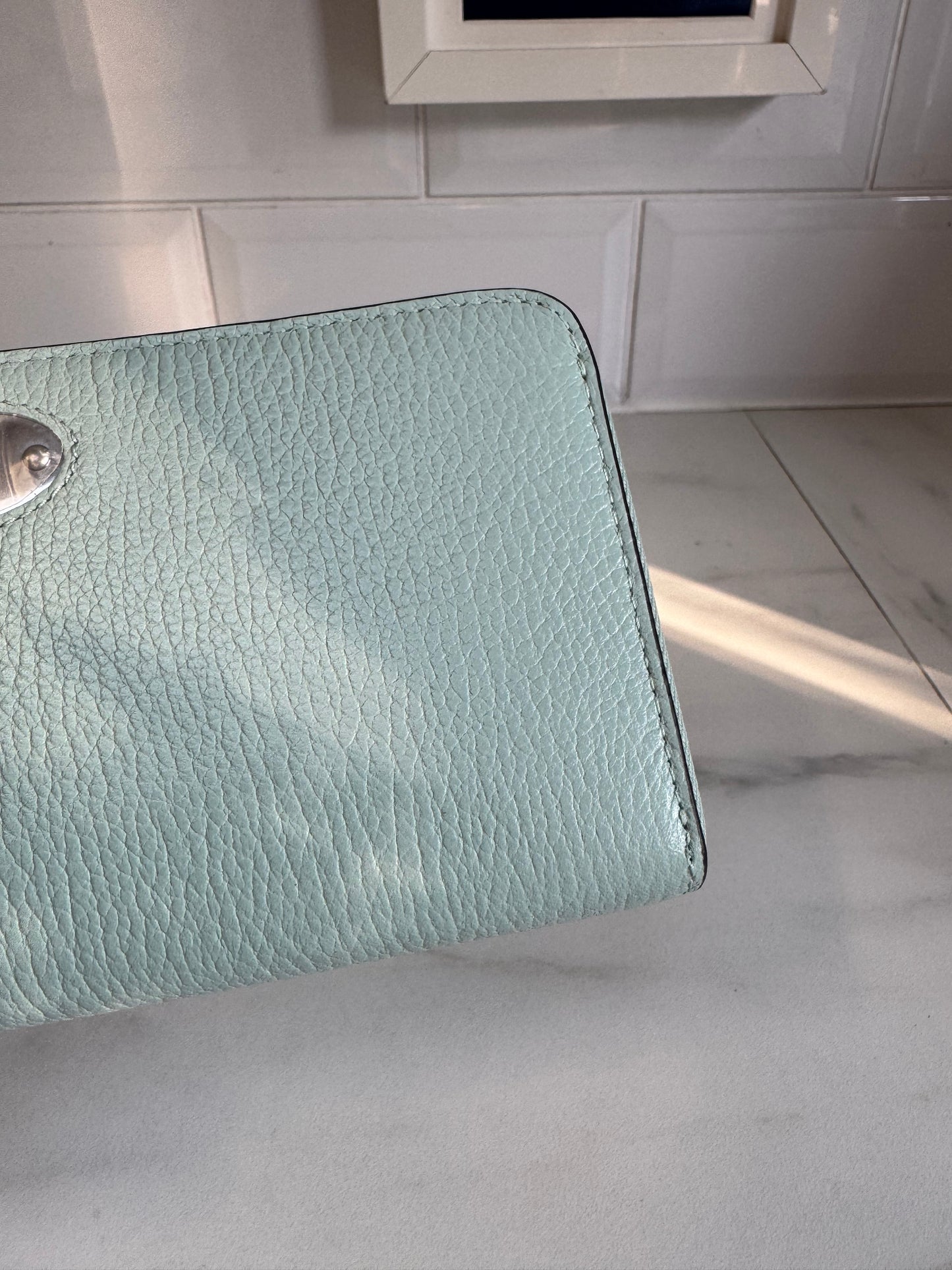Mulberry Plaque 8CC Zip Purse - Acrylic Green