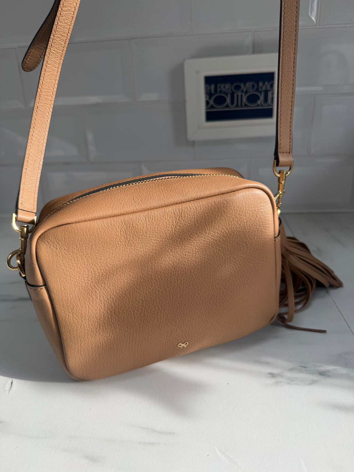 Anya Hindmarch Neeson Tassel Camera Bag - Burnt Sugar