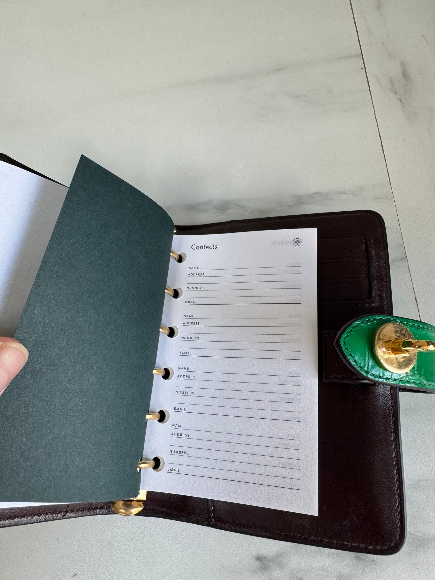 Mulberry Pocket Book - Emerald Croc Embossed