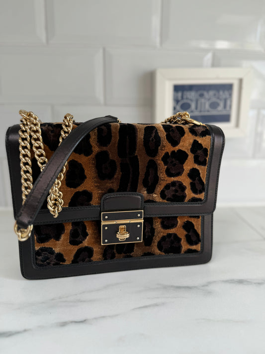 Dolce & Gabbana - Leopard Print