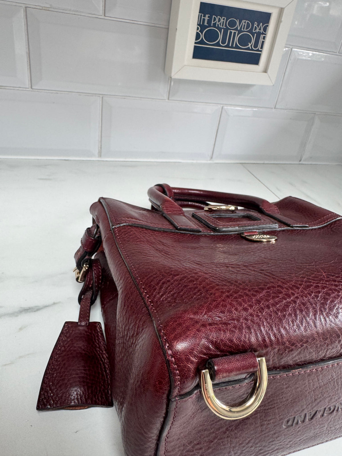Mulberry “Limited Edition” Mini Cara Delevigne Backpack - Oxblood NVT