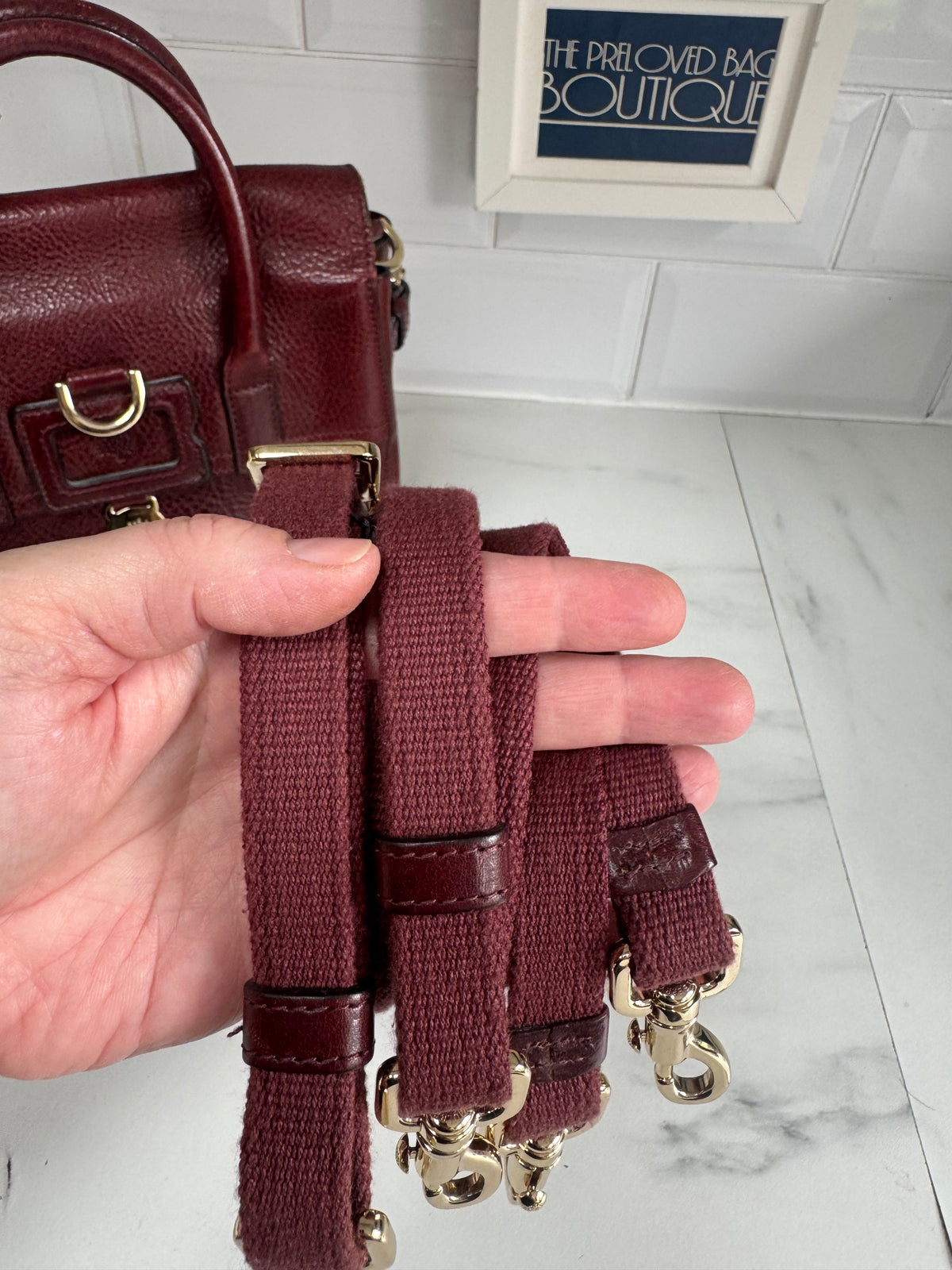 Mulberry “Limited Edition” Mini Cara Delevigne Backpack - Oxblood NVT