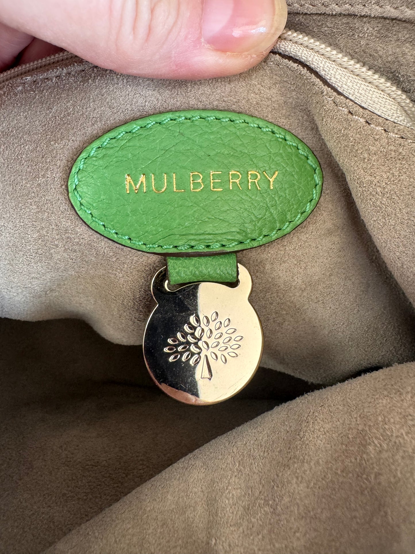 Mulberry Regular Lily - Grass Green