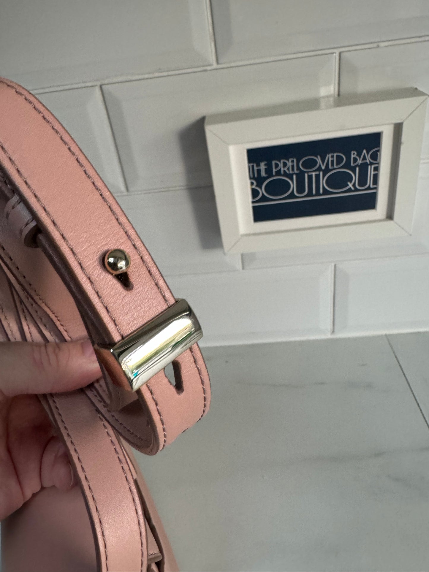 Alexander Wang Alpha Lia Saddle Bag - Blush Pink