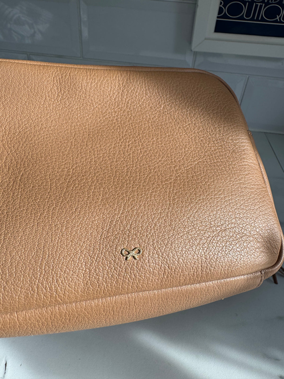 Anya Hindmarch Neeson Tassel Camera Bag - Burnt Sugar
