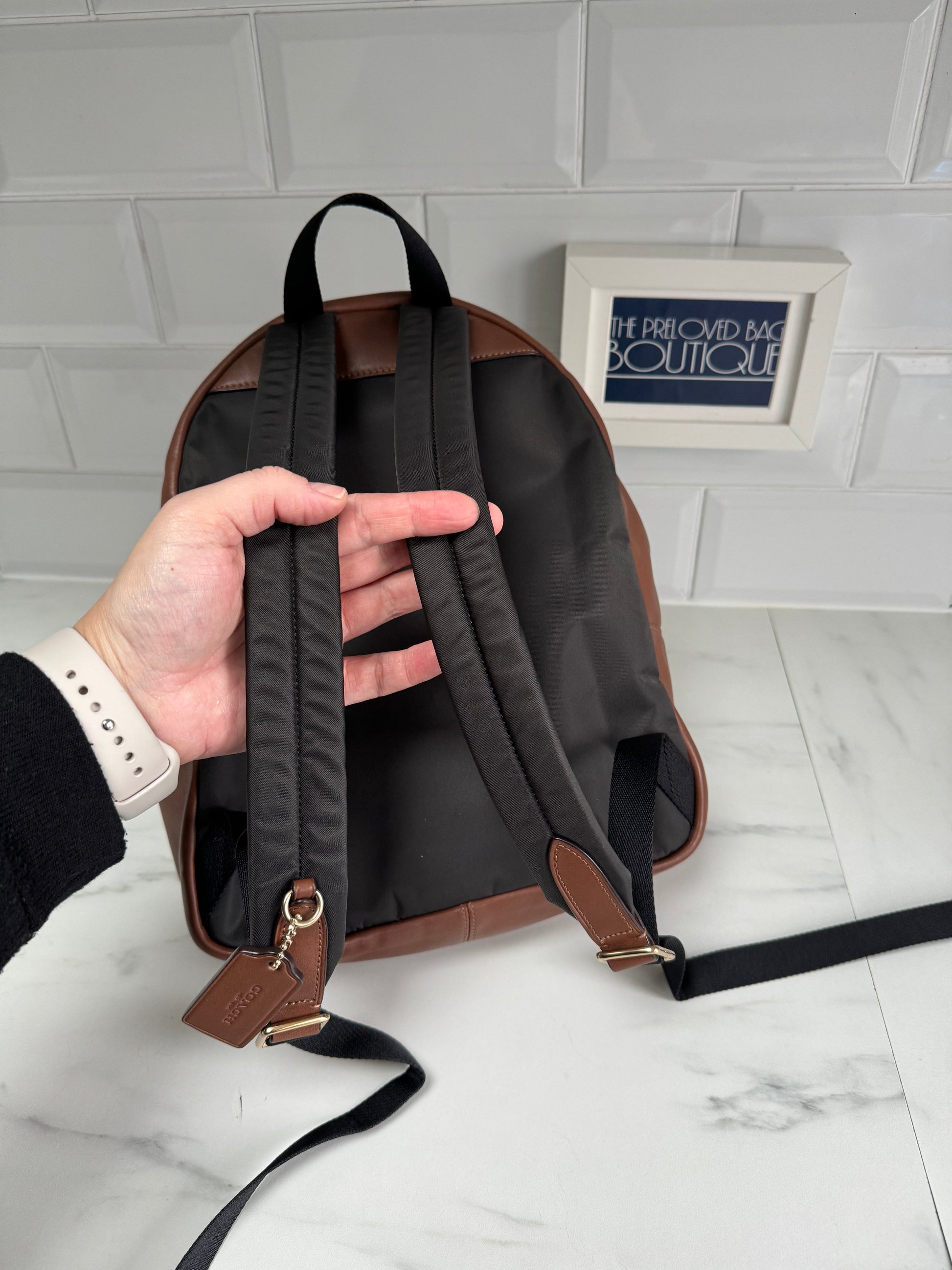 Coach charlie backpack online in signature