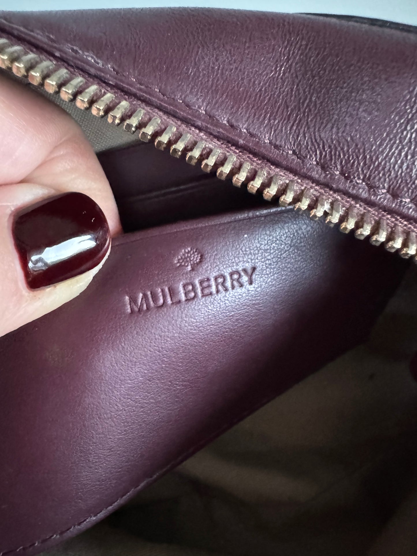 Mulberry Blossom Pochette - Oxblood