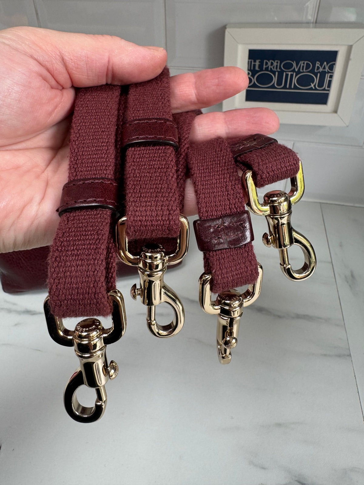 Mulberry “Limited Edition” Mini Cara Delevigne Backpack - Oxblood NVT