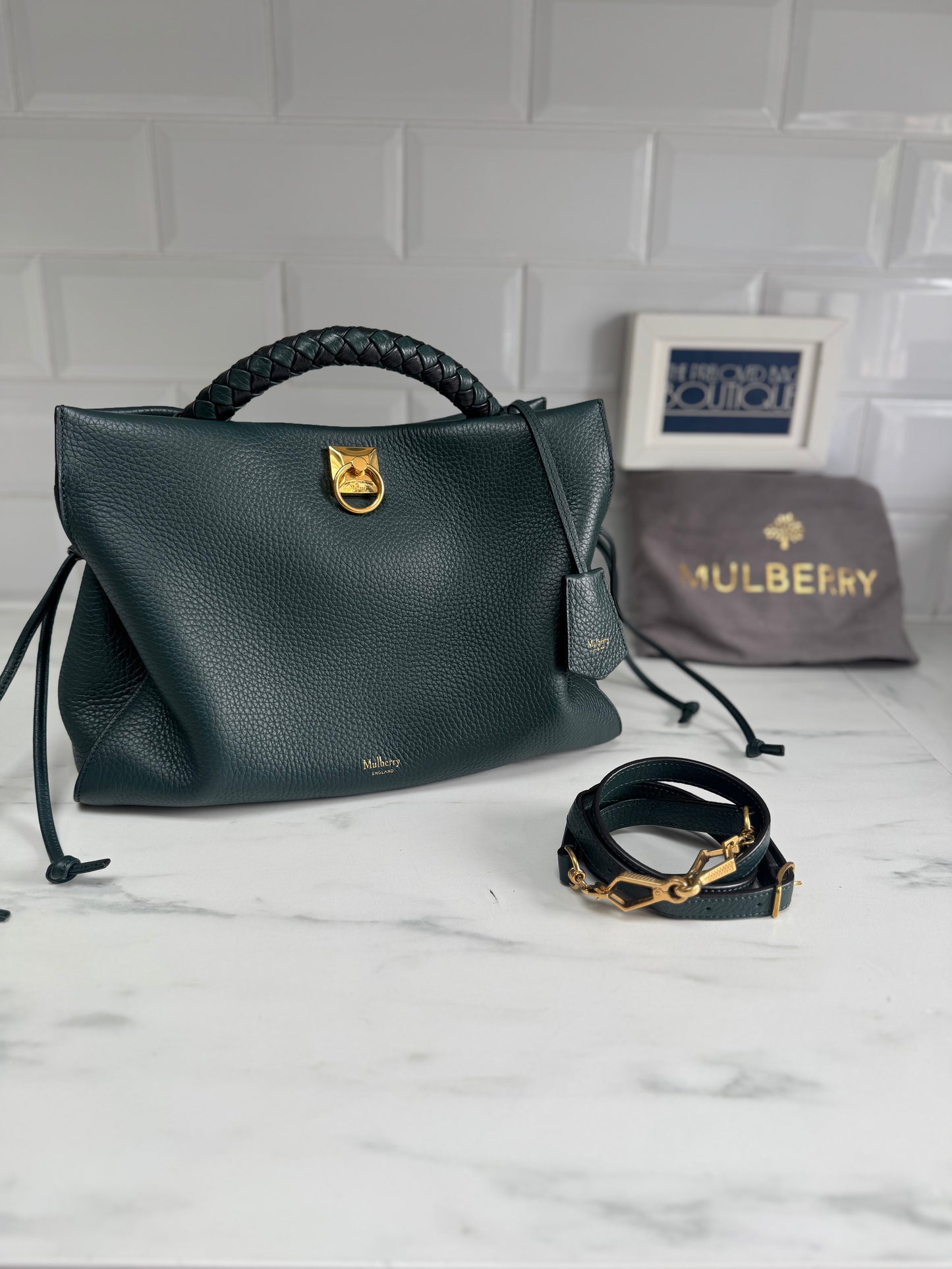 Mulberry Large Iris - Mulberry Green