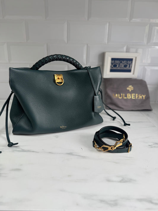Mulberry Large Iris - Mulberry Green