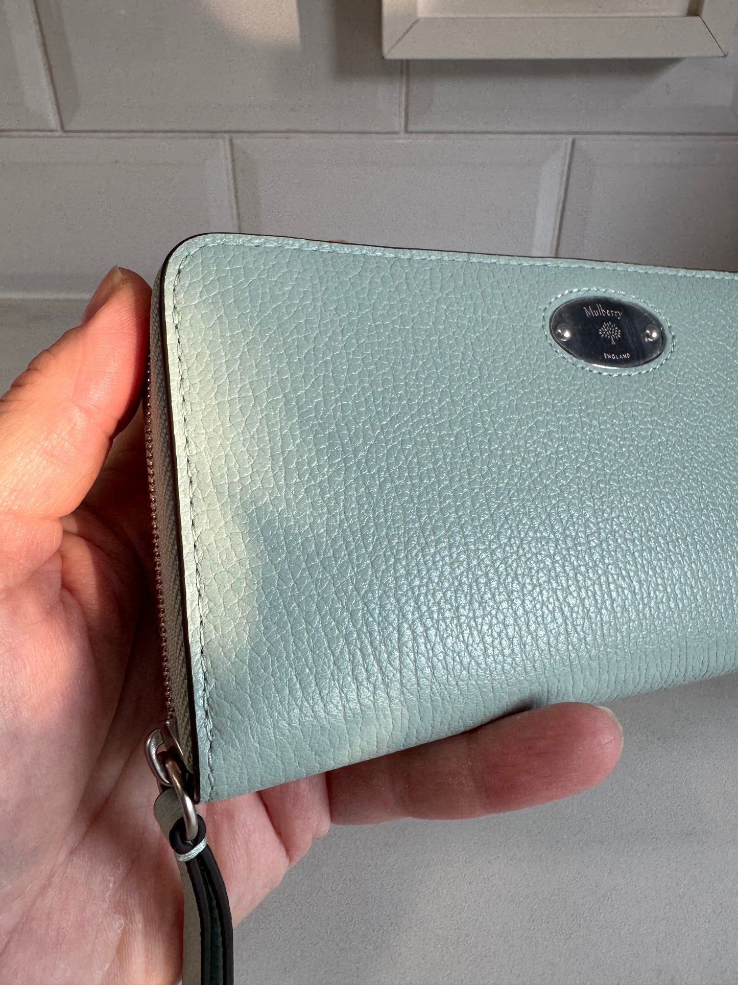 Mulberry Plaque 8CC Zip Purse - Acrylic Green