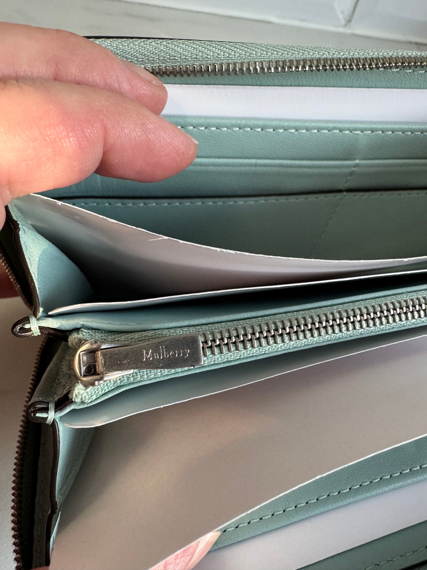 Mulberry Plaque 8CC Zip Purse - Acrylic Green