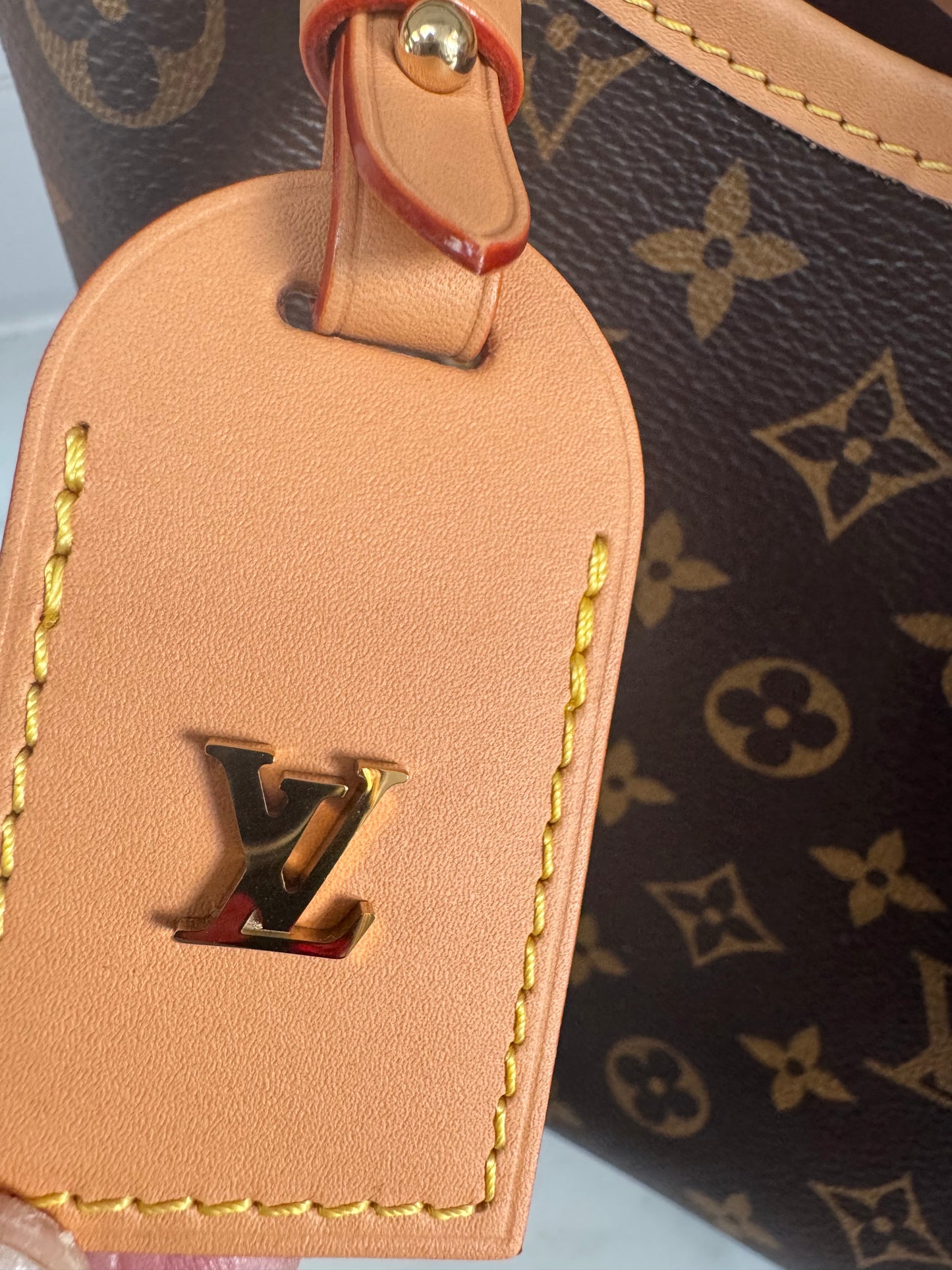 Louis Vuitton Carryall PM - Brown Monogram