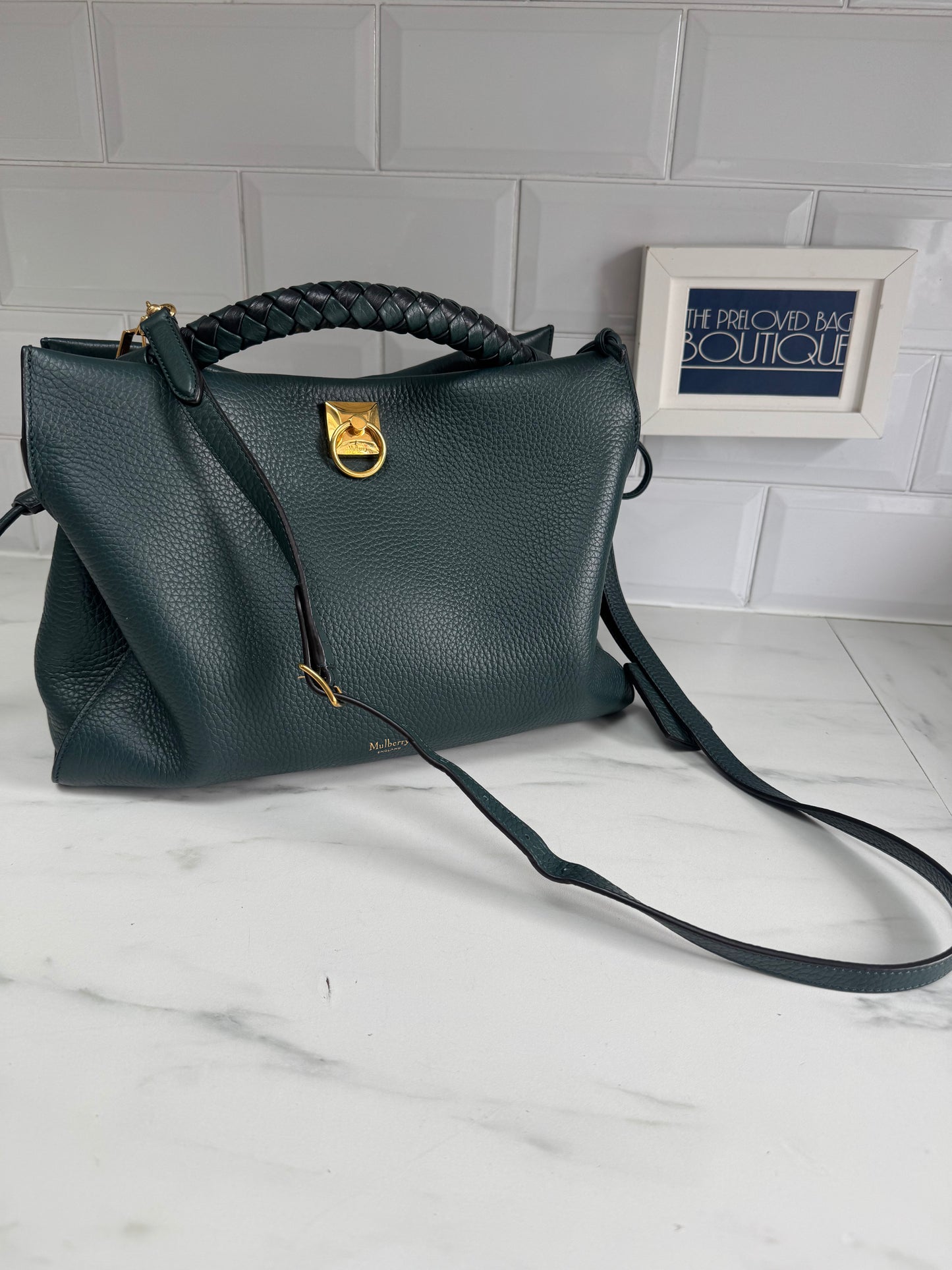 Mulberry Large Iris - Mulberry Green