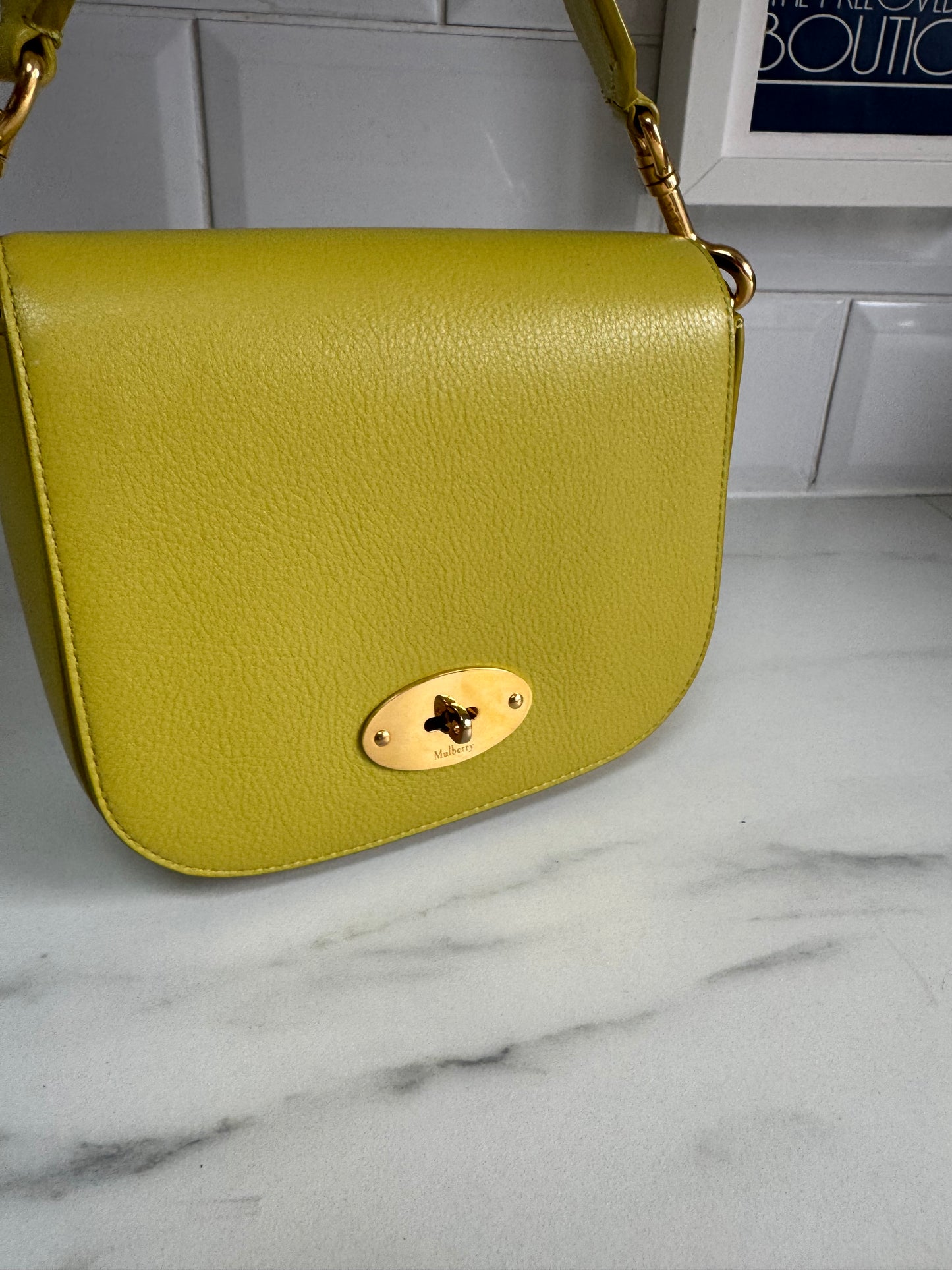 Mulberry Small Darley Satchel - Meadow Green