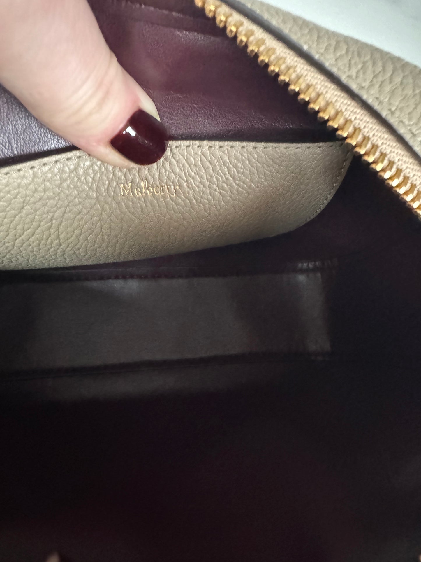 Mulberry Camera Bag - Dune