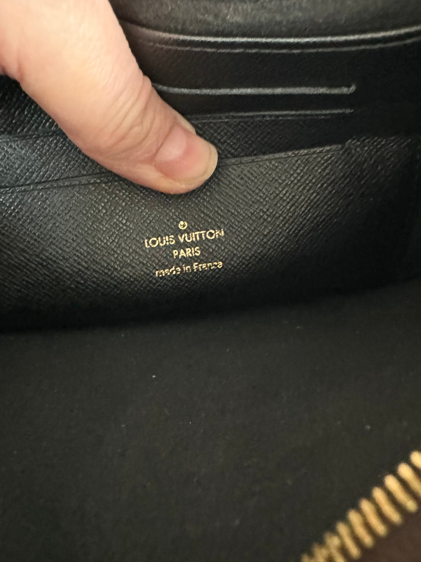 Louis Vuitton Double Zip Pochette in Giant Reverse Monogram Canvas